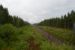 Op 29-7-2015 ben ik op de gok (het regende) weggereden van de camping richting Vretstorp en sta ik om 20:47 aan de baan (Hallsberg - Laxå) waar het net bijna droog is en het bos nog na dampt. 
Dit was exact de plek waar de voormalige halte Linddalen was met twee perrons, waarvan aan de westzijde nog een trap van over is gebleven.  On 29-7-2015 I took a gamble and left the campsite in the rain to drive to Vretstorp. Here was am standing at 20:47 and the rain had almost stopped and the forest was still misty from all the moisture. 
This was the exact location where the train stop Linddalen used to be. It had two platforms, on the west side the stairs leading to one of them can still be seen.