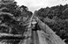 Een DEI en DEII stel onderweg naar Ommen. 
Rond 1955.
Beeldmateriaal Het Utrechts Archief Nr. 161912 A diesel train unit DEI and DEII on their way to Ommen. 
Around 1955.
Image from Het Utrechts Archief Nr.161912