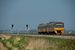 Twee Wadlopers van Arriva rijden over het dubbelsporige deel van de lijn Nieuweschans - Groningen, vlak voor Groningen.
13:43 Two diesel train units (DH1 and DH2, nicknamed Wadloper) from Arriva are driving on the double - track part of the line Nieuweschans - Groningen. At 13:43 they have almost reached Groningen.