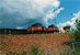 Twee electrische rangeerlocomotieven van de SJ type Ue (nr 167 en 263) staan op de rangeerheuvel in Borlänge in juli 1996.

De Ue is de verbouwde versie van de Ub.
Haar zusterserie Uf, werden gebouwd als Ud.
De motoren zijn vervangen voor sterkere, de bediening is aangepast
naar 