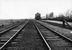 Station Grijpskerk op 18-11-1970 met aan de rechterkant het beladen van enkele wagons langs de losweg en links de trekdraden van de beveiliging.
Beeldmateriaal Het Utrechts Archief Nr. 154845 On 18-11-1970 some wagons are being loaded on the loading area of Grijpskerk station. 
Image from Het Utrechts Archief Nr. 154845