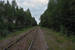 De spoorlijn naast het station van Gopshus uit 1896, aan de lijn Mora - Älvdalen (MEJ) op 27-7-2016 om 21:47. The railway nearby the station of Gopshus from 1896 on the Mora - Älvdalen railway (MEJ) on 27-7-2016 at 21:47.
