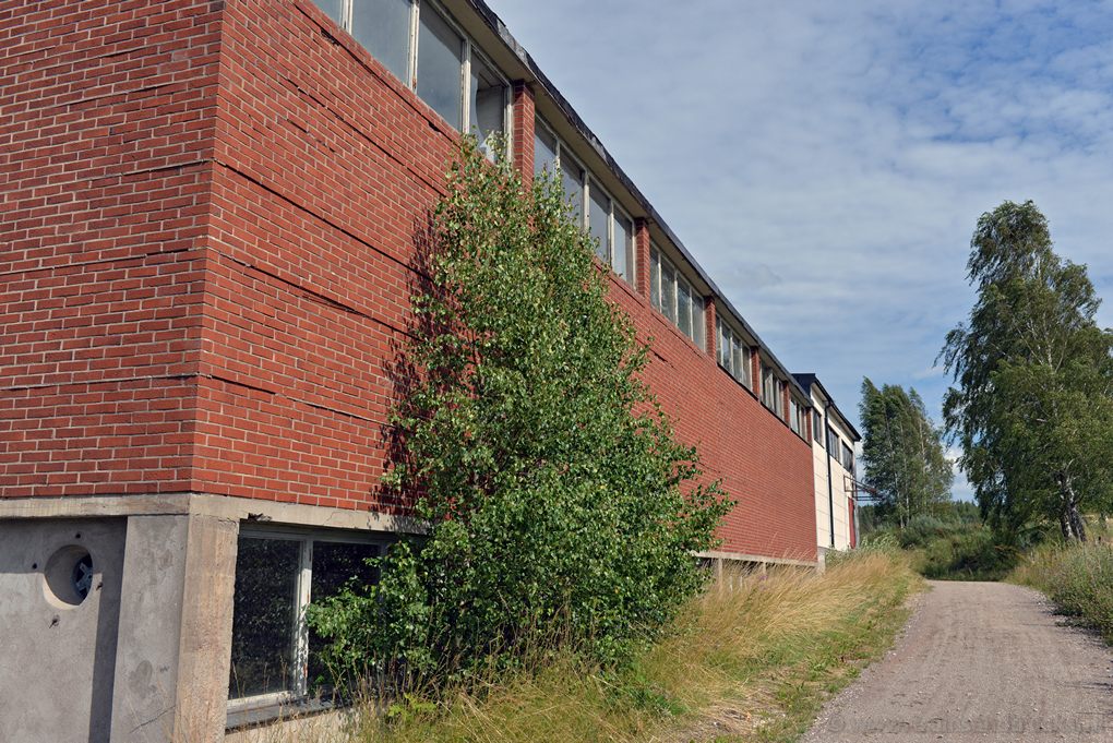 Tis-empl-Tisselskog-2015-07-22_15-26-37_0362.jpg