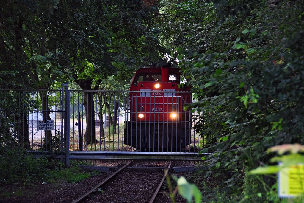 d-6413_Emmen_2013-07-31_7-26.jpg