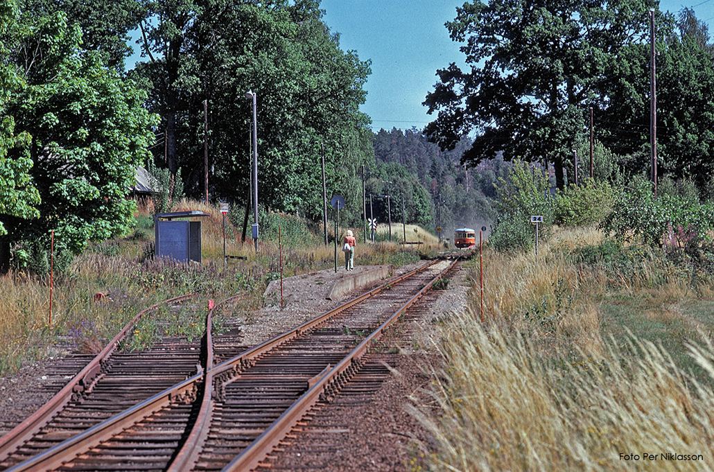 d-Y7_Tisselskog_4-8-1975_03.jpg